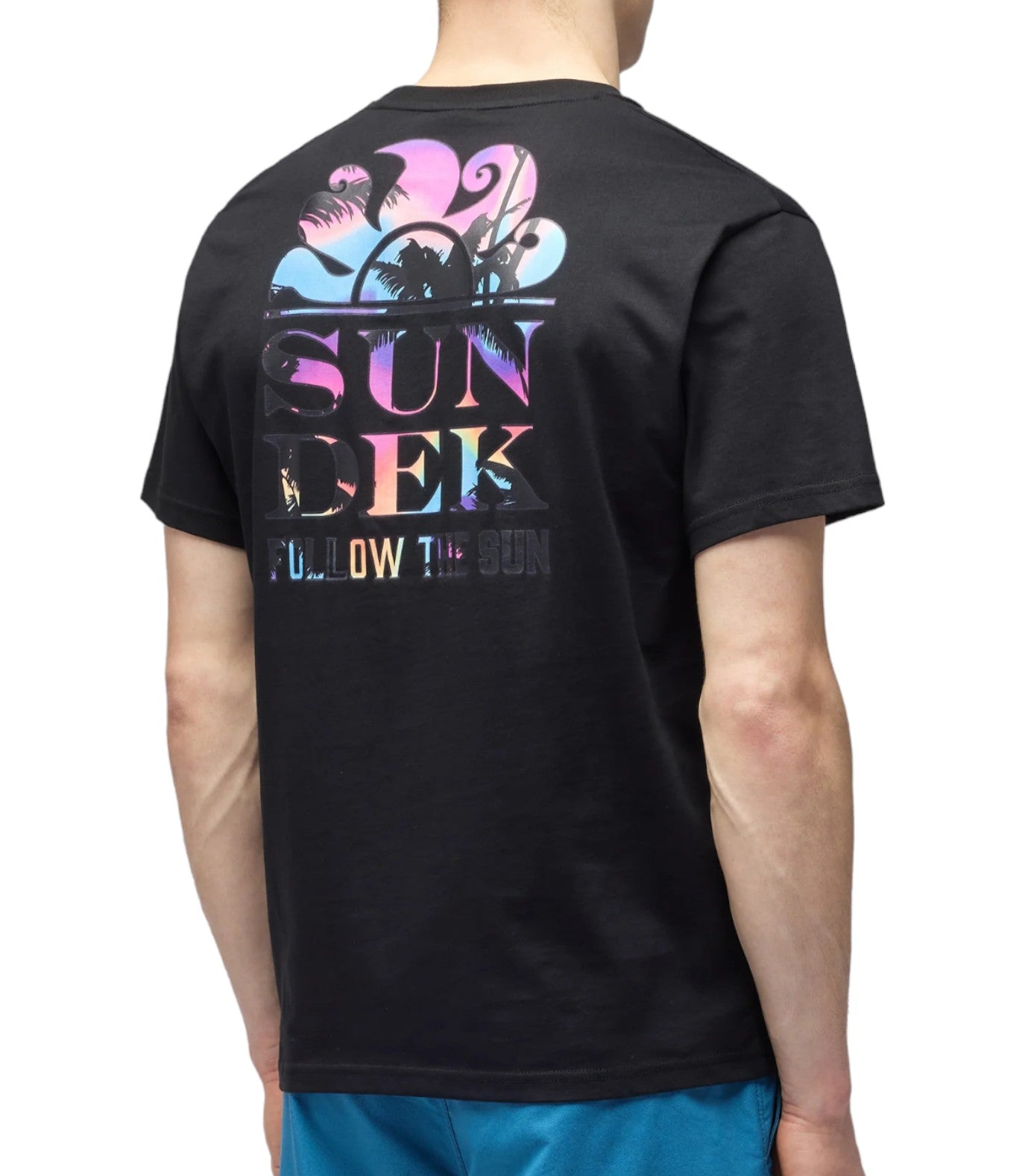 Shirt Palm Trip