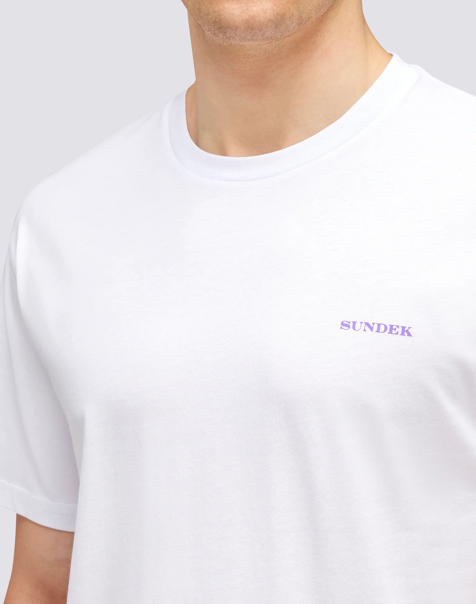 Shirt Palm Trip