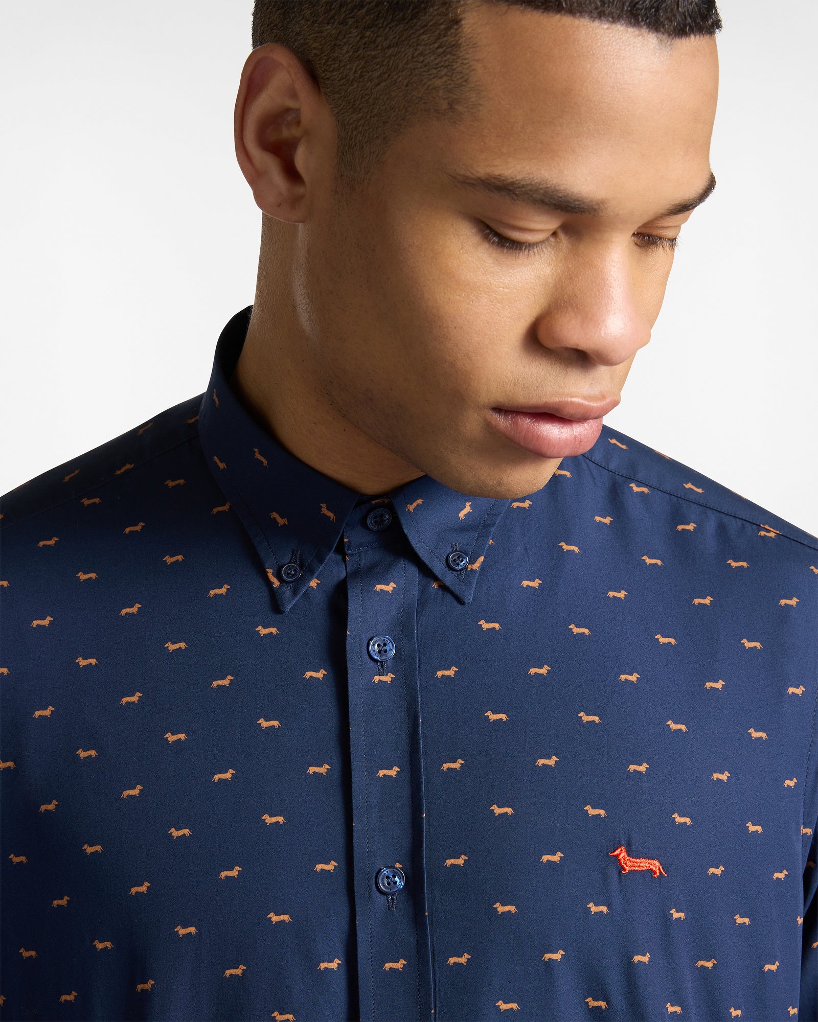 Camicia In Cotone Con Bassotti